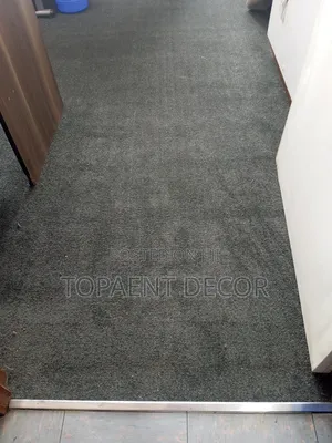 Non Allergic and Kids Friendly Warm House Wall to Wall Carpets
