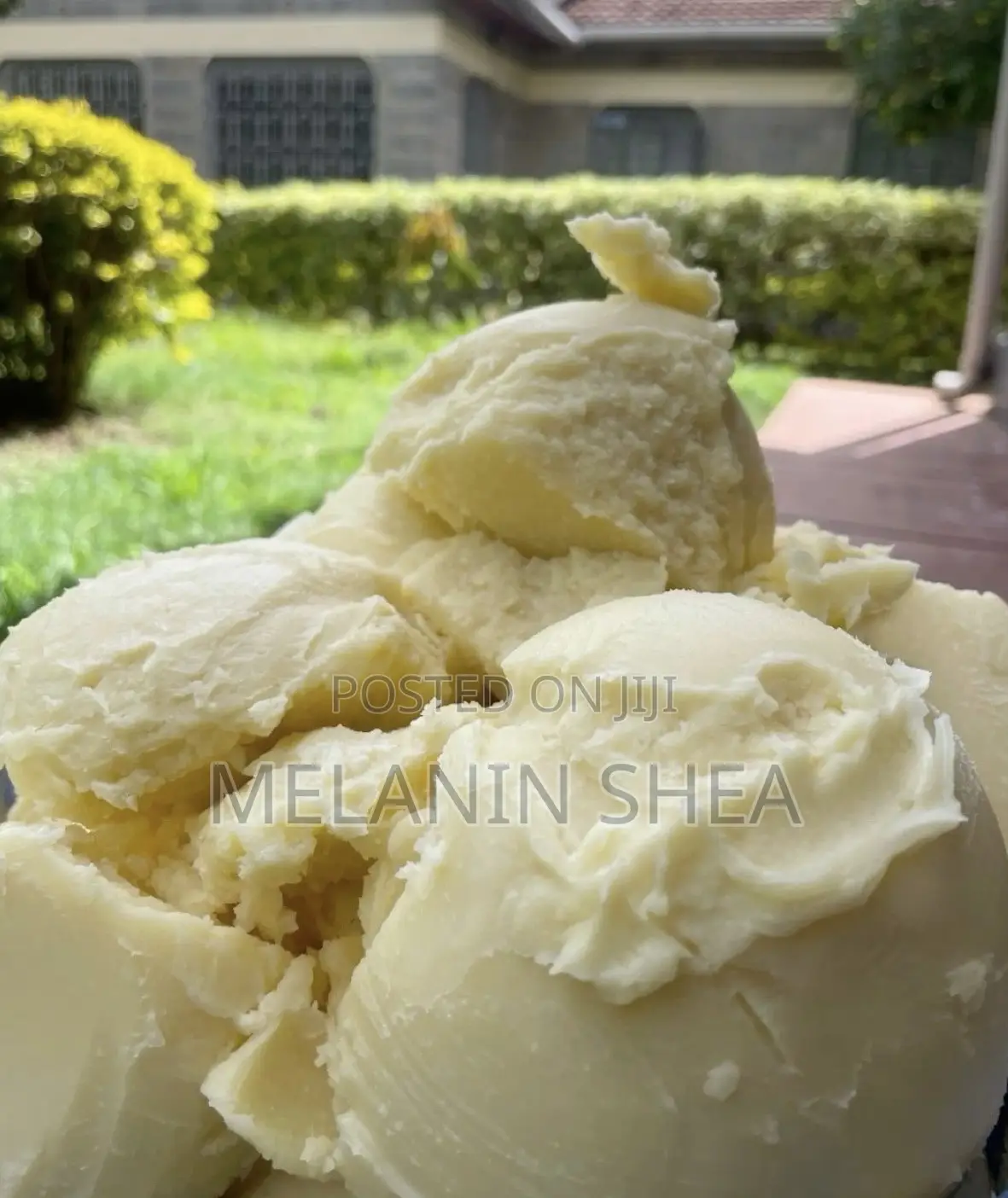 Shea Butter