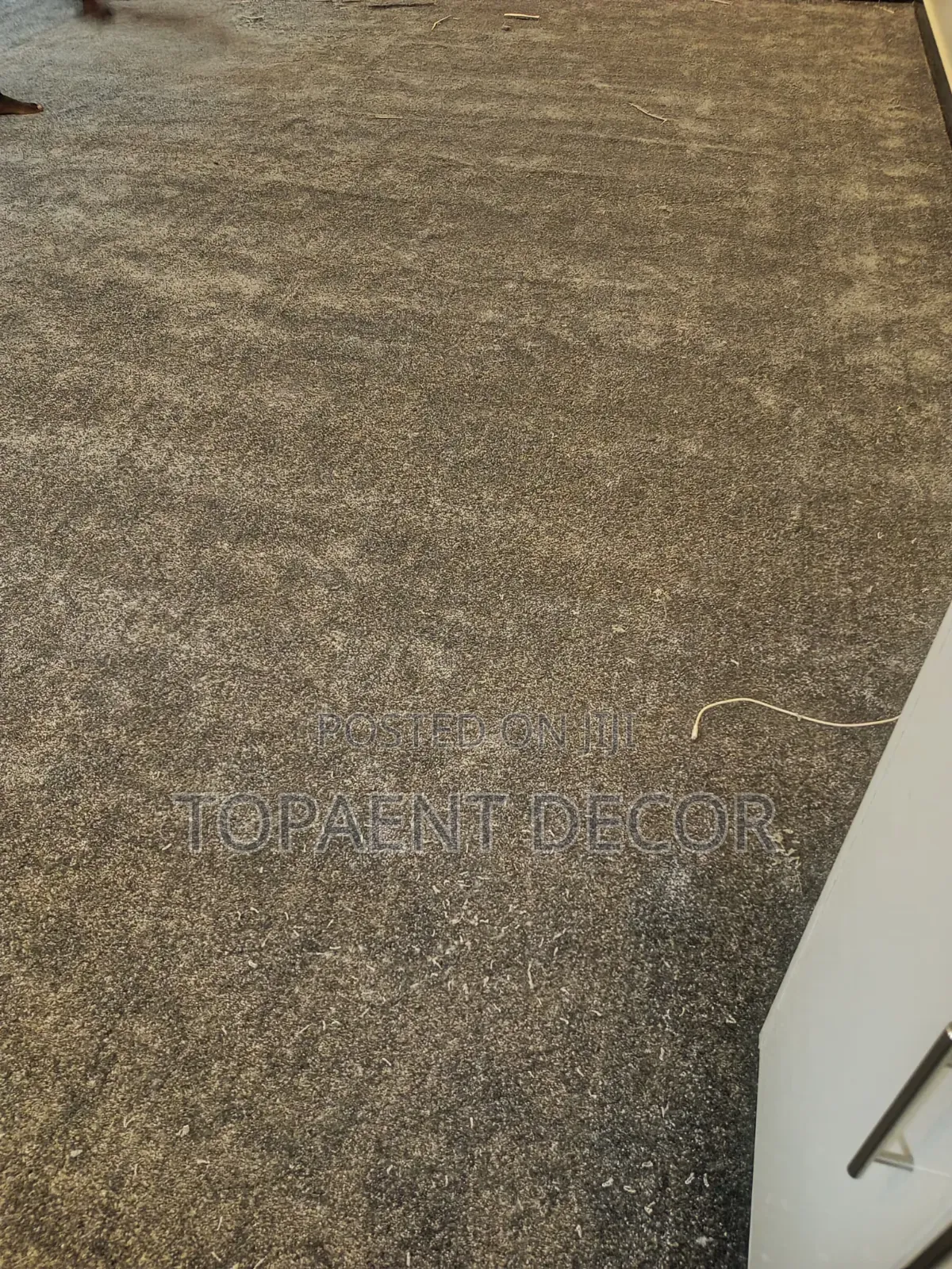 Gray Warm Sitting Room Floor Wall to Wall Carpet