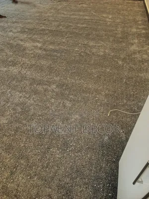 Gray Warm Sitting Room Floor Wall to Wall Carpet
