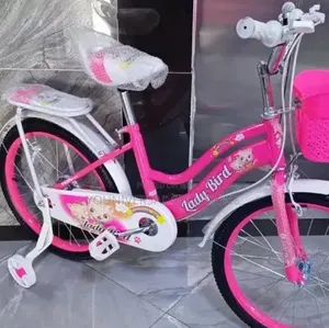 Lady Bike Size 20