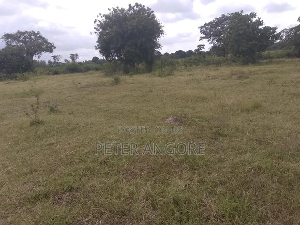 Land and Plots Sales - main view