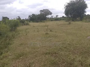 Land and Plots Sales