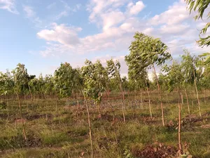 Land and Plots Sales Invested
