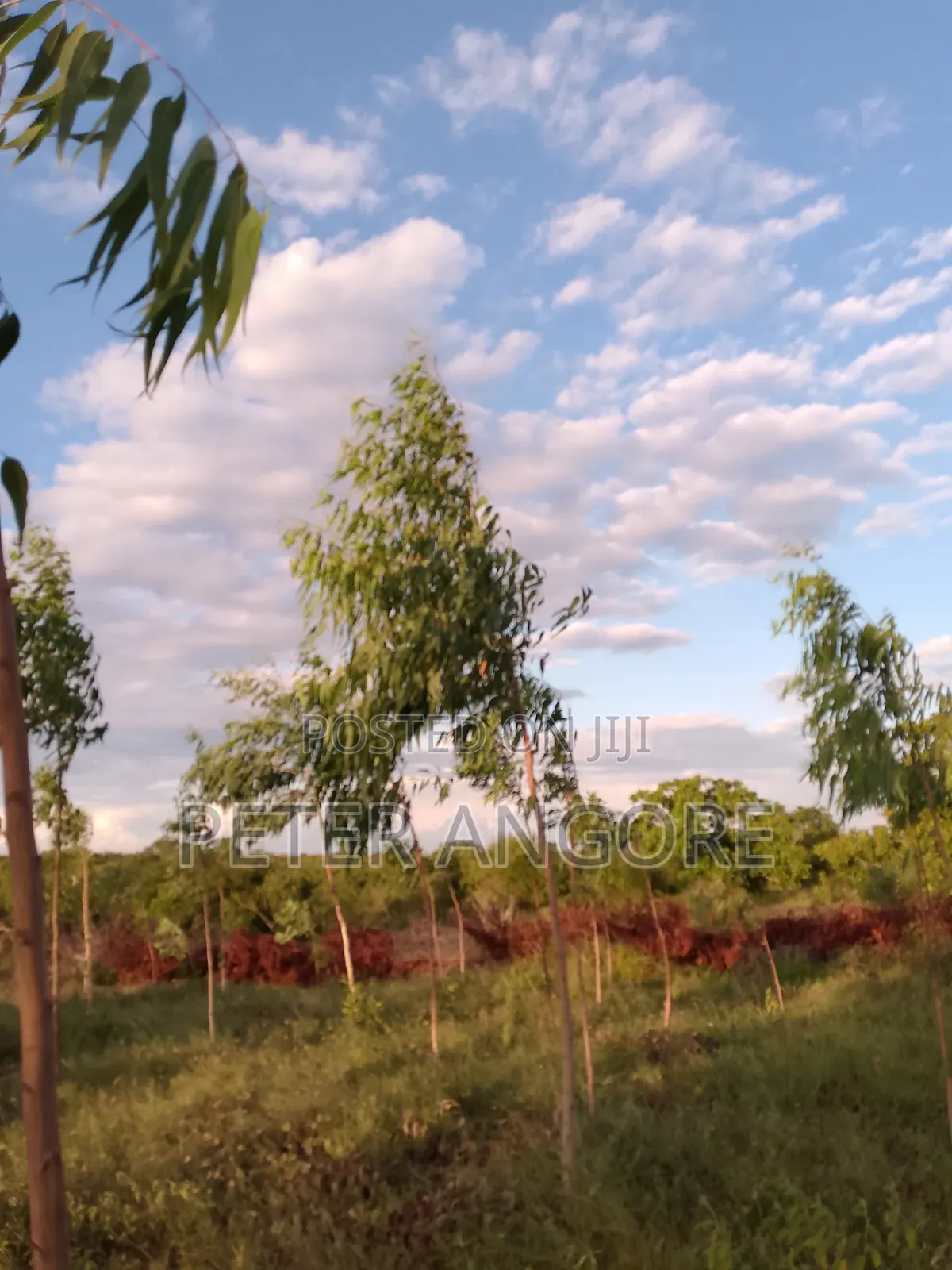 Land and Plots Sales Invested