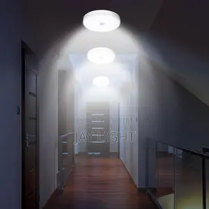 Motion Sensor Eyes Ceiling Light White LED Bulkhead