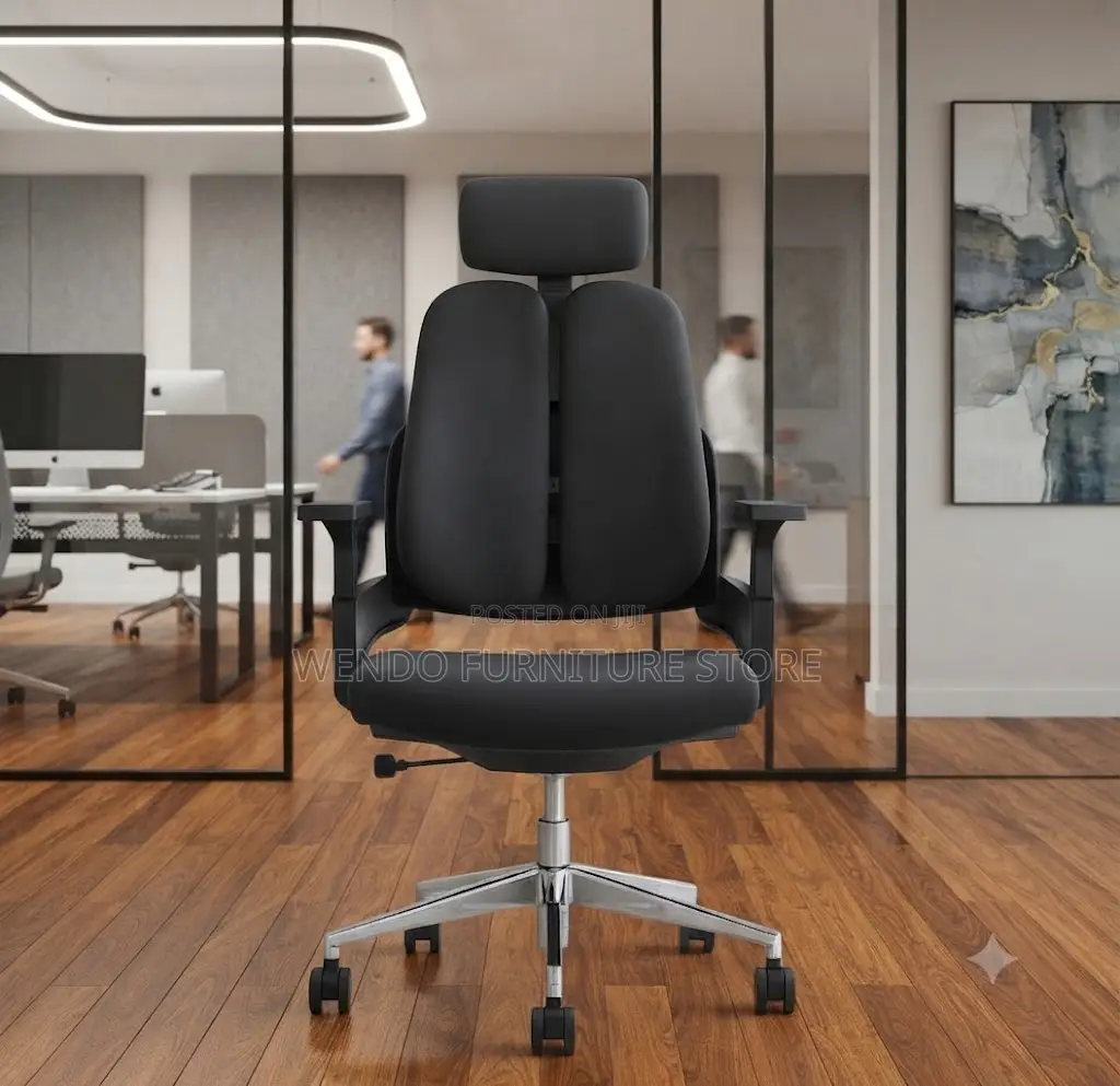 Office Chairs; Executive Dual Backed Office Orthopedic Chair
