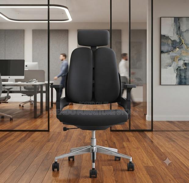 Office Chairs; Executive Dual Backed Office Orthopedic Chair