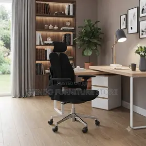 Office Chairs; Executive Dual Backed Office Orthopedic Chair