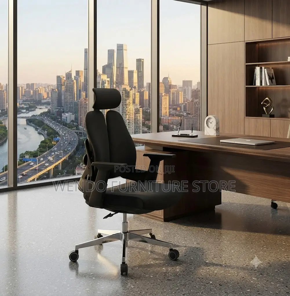 Office Chairs; Executive Dual Backed Office Orthopedic Chair