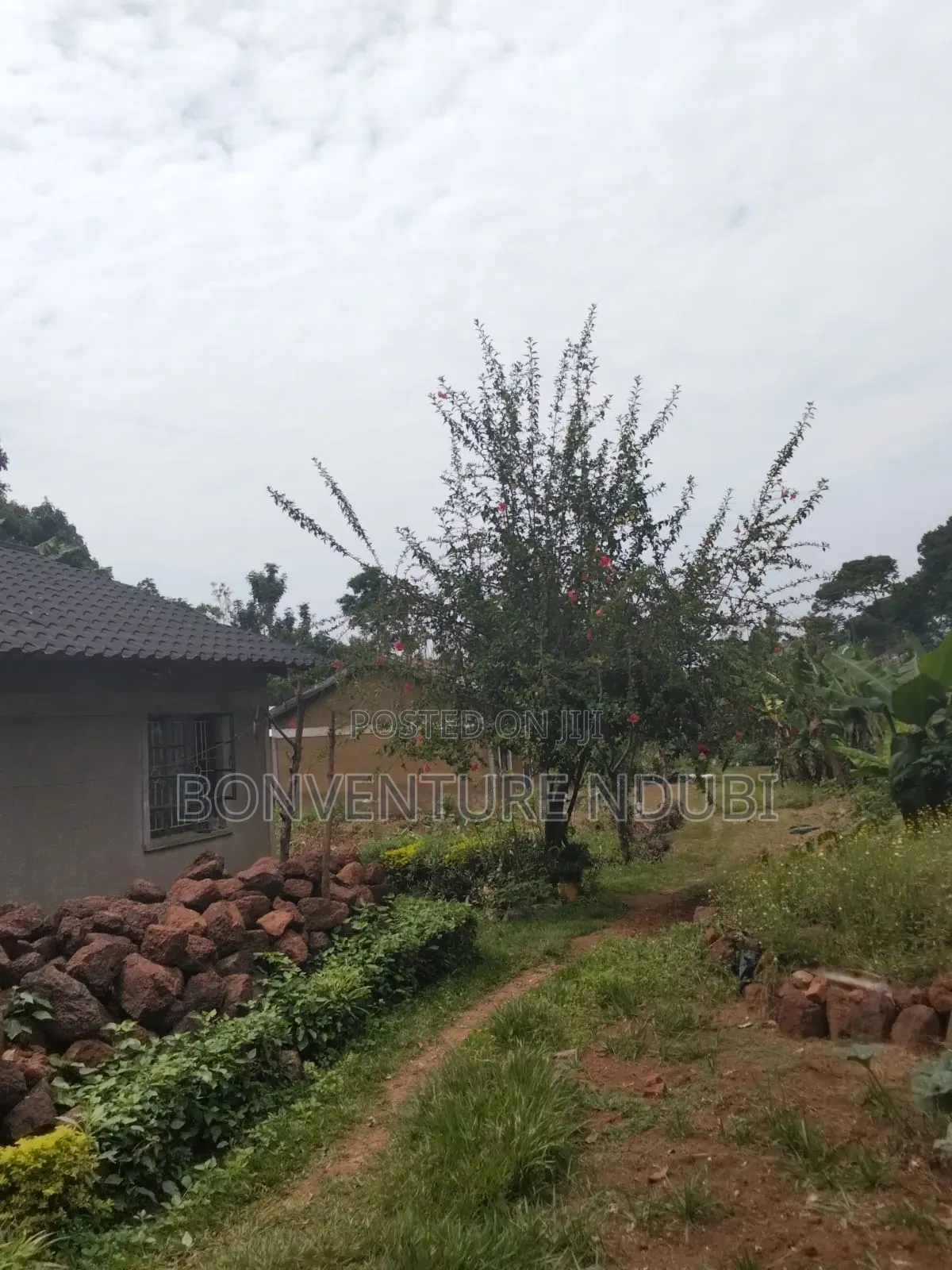 2bdrm House in Butula Behind Ap, Marachi East for sale