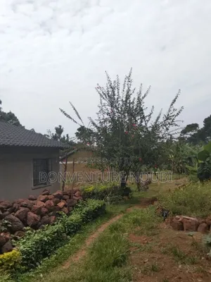 2bdrm House in Butula Behind Ap, Marachi East for sale