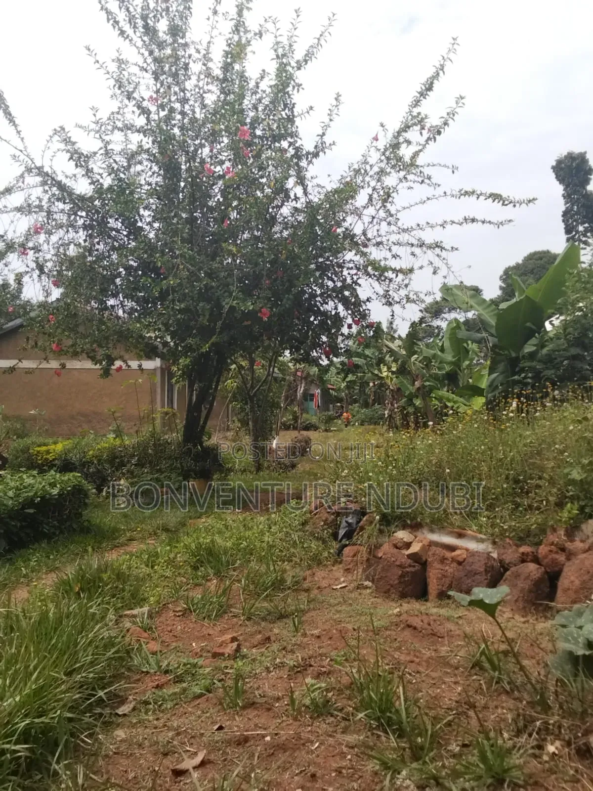 2bdrm House in Butula Behind Ap, Marachi East for sale