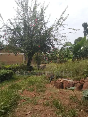 2bdrm House in Butula Behind Ap, Marachi East for sale