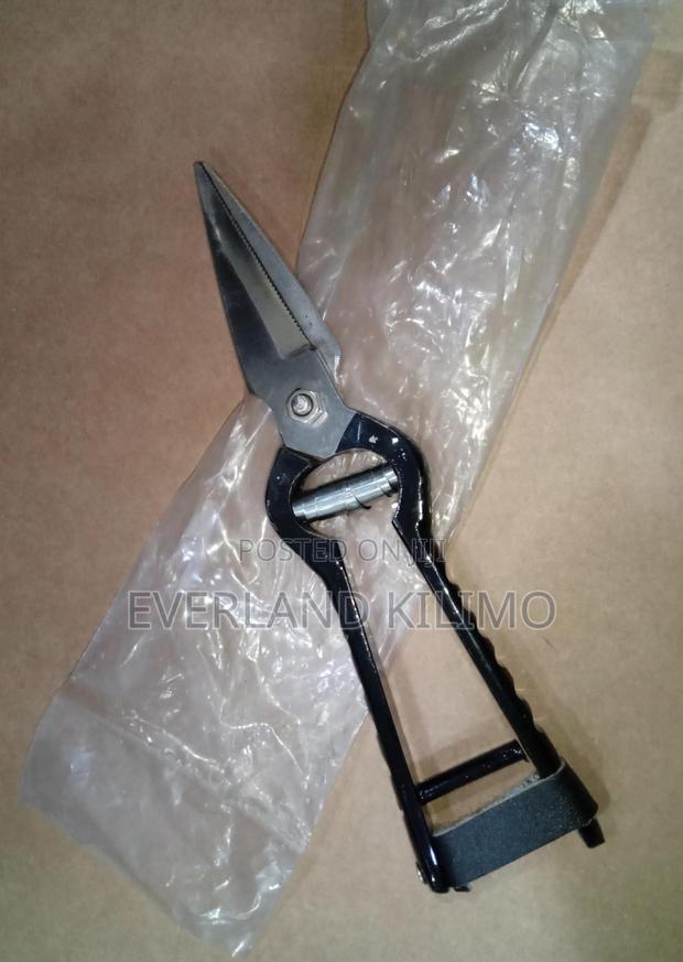 Goats Hoof Trimming Shears