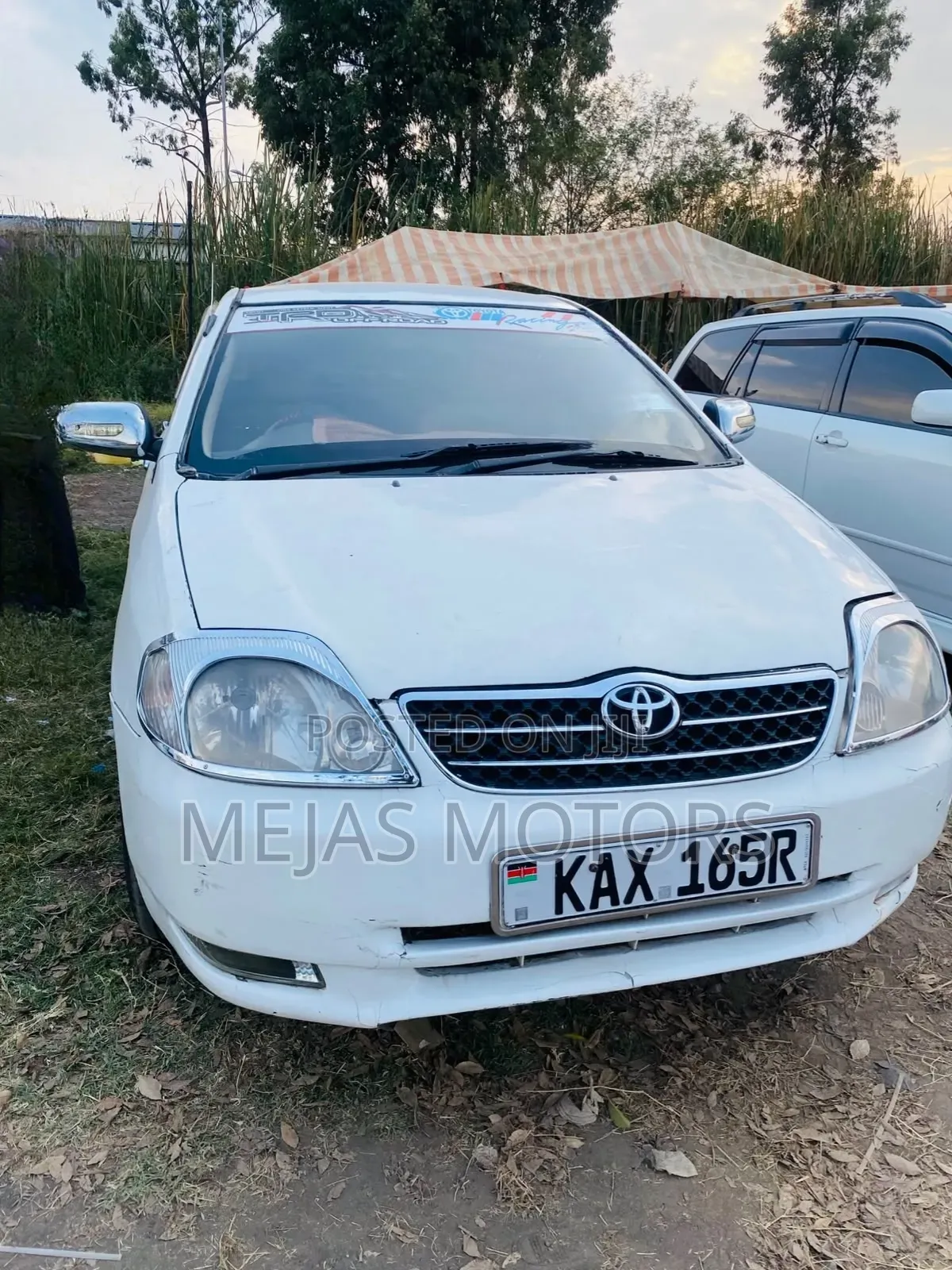 Toyota Corolla 2000 White