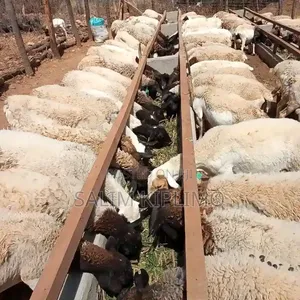 Kensa,s Dopa Sheep Seller