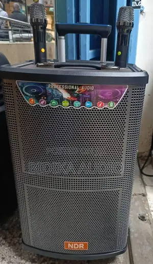 NDR-512 Professional Portable Powered Wireless Karaoke Trolley Speaker