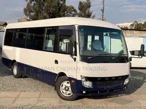 Mitsubishi Fuso Rosa 2019 White