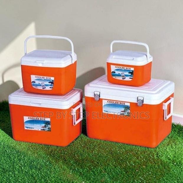 Domestic Use 4.5L,10L,25L,32L,50L Cooler Boxes Wholesale Prices