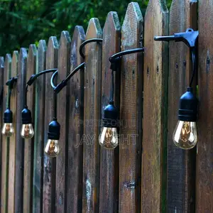 Garland Light Led Clear Bulb Belt Lights Low Voltage Lighting