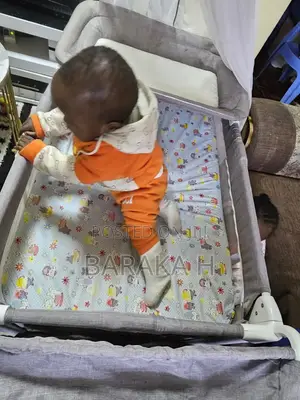 Cosleeper Baby Bassinet at Throw Away Price