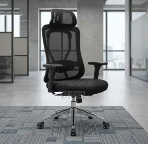 Office Chair : Adjustable High-Back Mesh Office Chair