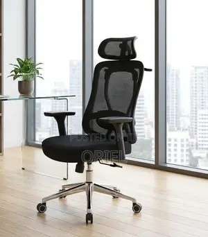 Office Chair : Adjustable High-Back Mesh Office Chair