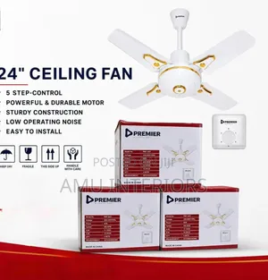 Premier 24 Inch Ceiling Fan