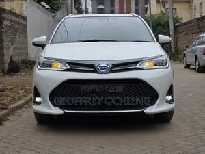 Toyota Corolla Fielder 2019 White