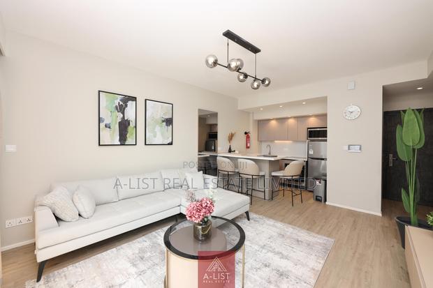 Furnished 1bdrm Apartment in Nyari for rent - thumbnail 2