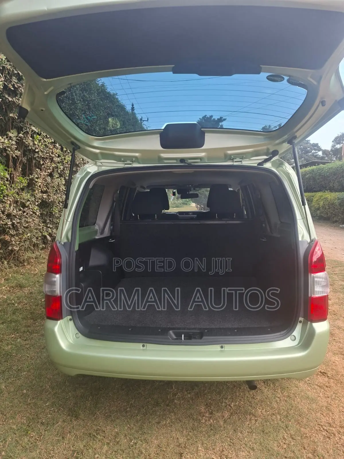 Toyota Succeed 2019 Green