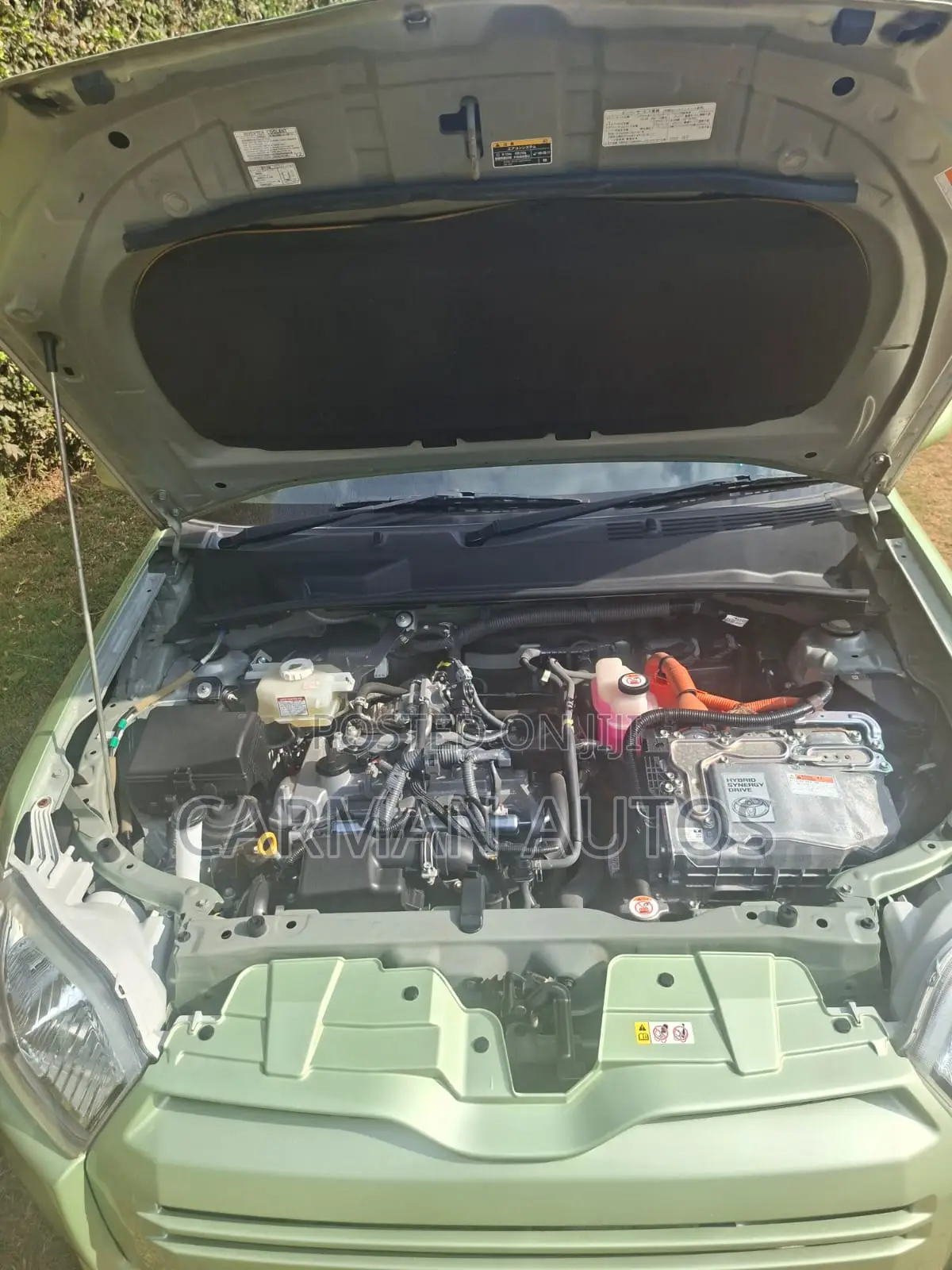 Toyota Succeed 2019 Green