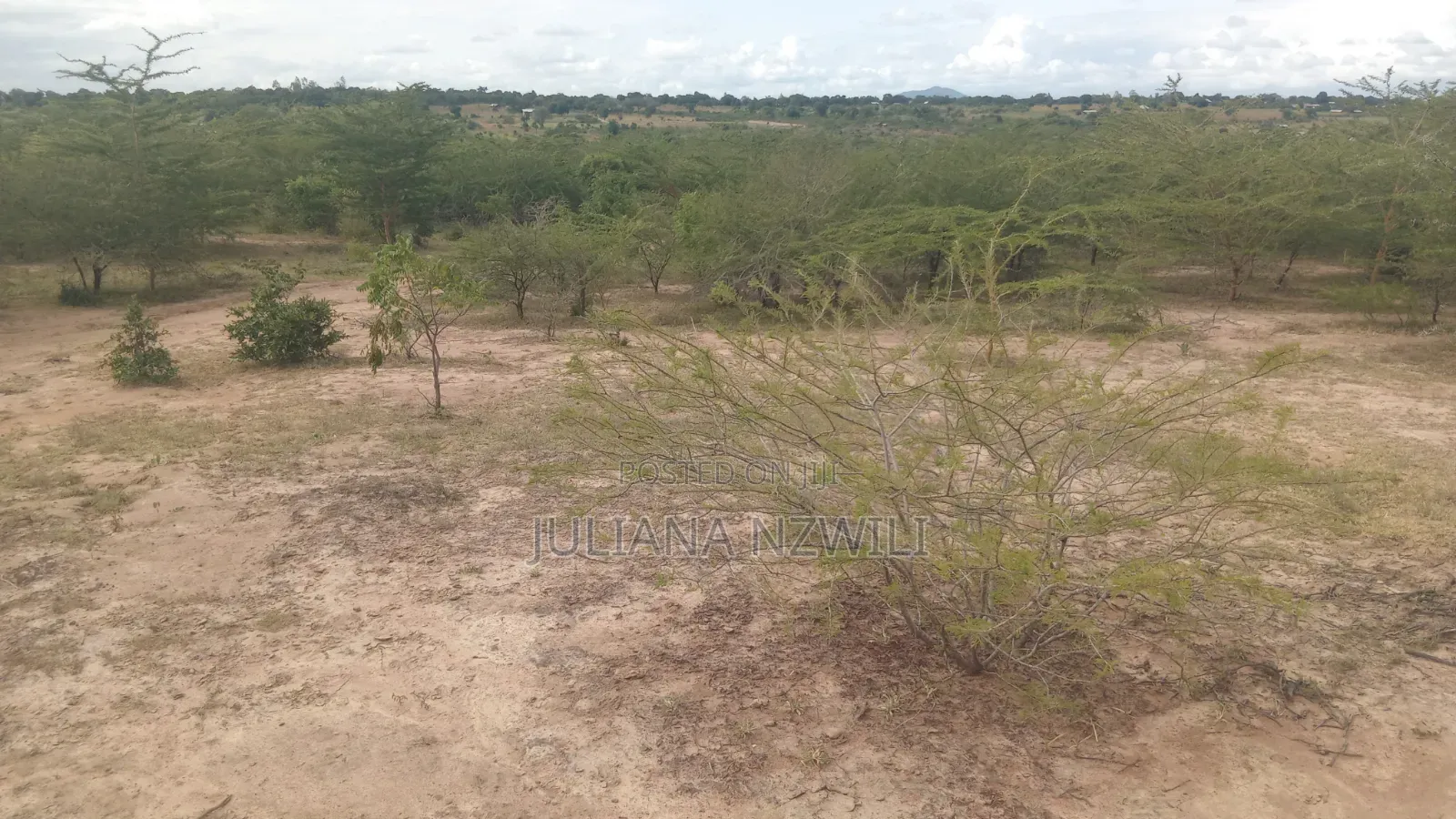 Land for Sell