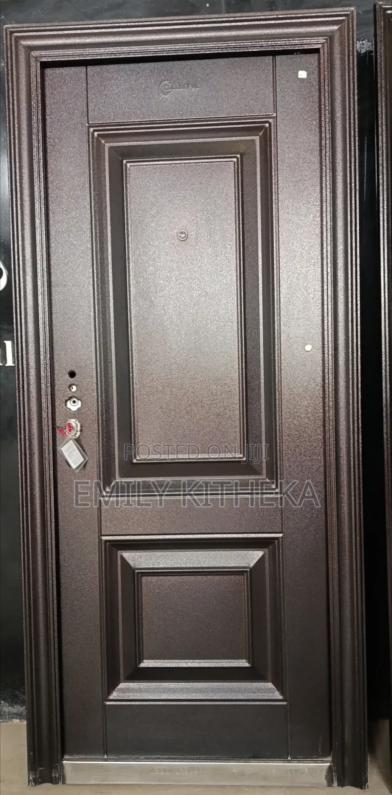 Antitheft Imported Stell Doors