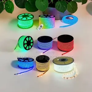Double Line LED Snake Lights Strip Lights Wholesale Prices
