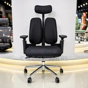 Orthopedic Dual Back Executive Chair.