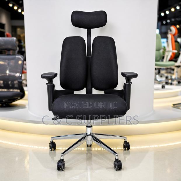 Orthopedic Dual Back Executive Chair. - main view
