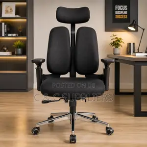 Orthopedic Dual Back Executive Chair.
