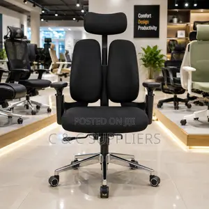 Orthopedic Dual Back Executive Chair.