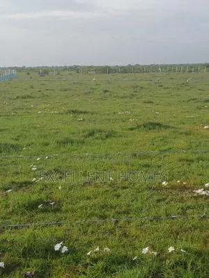 50 by 100 Plots in Mwalimu Farm