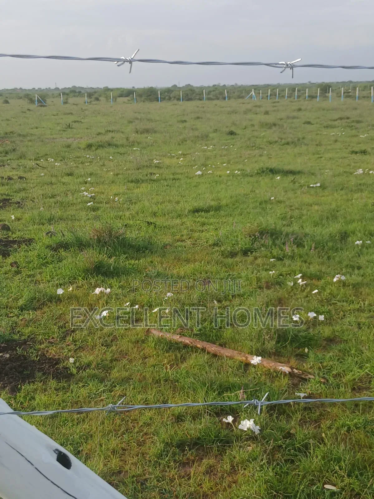 50 by 100 Plots in Mwalimu Farm