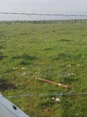 50 by 100 Plots in Mwalimu Farm