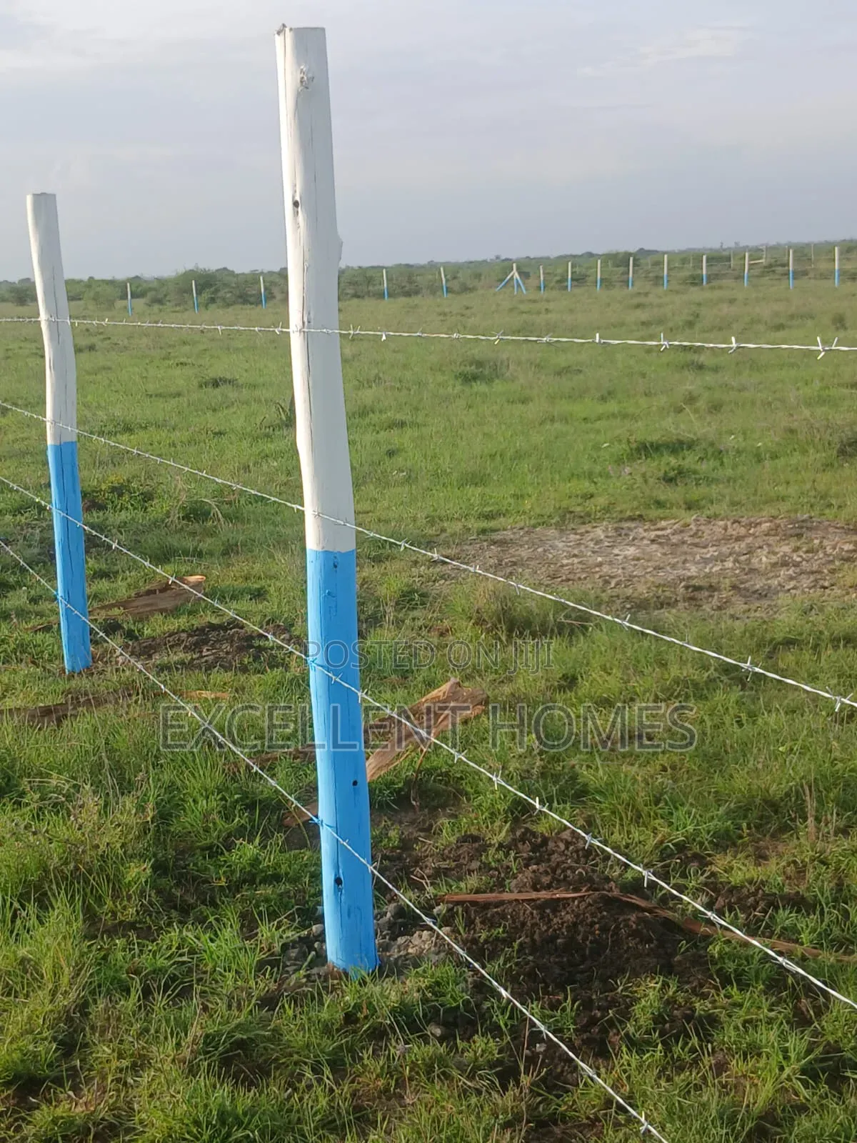 50 by 100 Plots in Mwalimu Farm