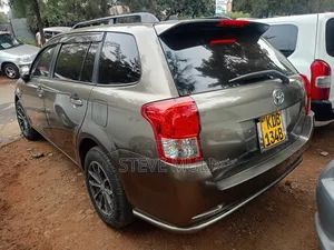 Toyota Corolla Fielder 2013 Brown