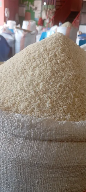 Dogs Broken Rice
