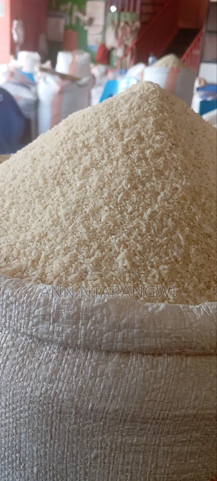 Dogs Broken Rice