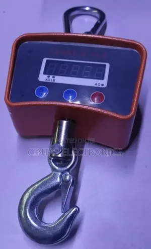 500Kg Crane Scale