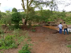Prime 1,100 Acres for Sale – Loitoktok | Slopes of Mt. Kilimanjaro