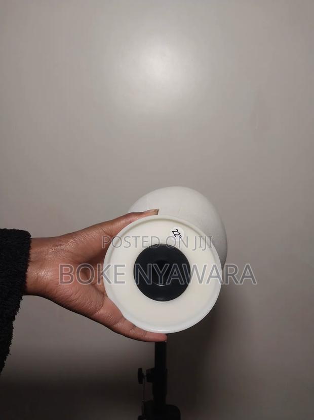 Canvas Head and Tripod - thumbnail 4
